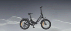 Engwe L20 Boost 3.0 250W E- Bike