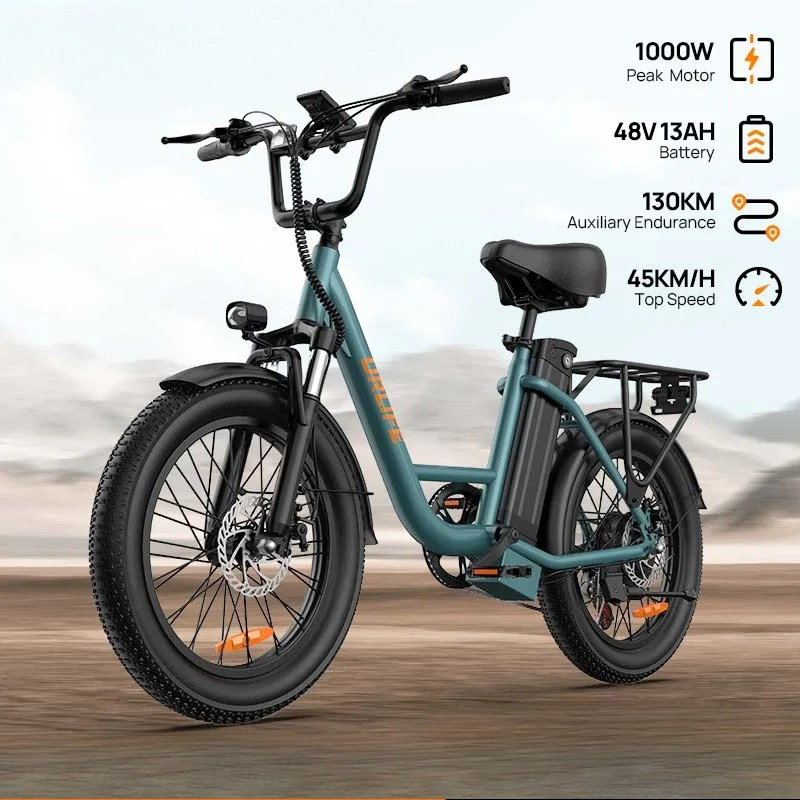 Everest - 1000W E20 Electric Bike