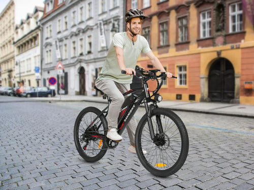 EB2 Electric Bike - New 2026