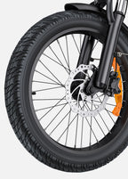 Engwe L20 Boost 3.0 250W E- Bike
